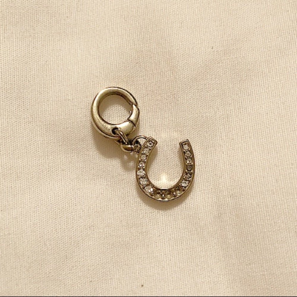 Gold Horse Shoe Charm